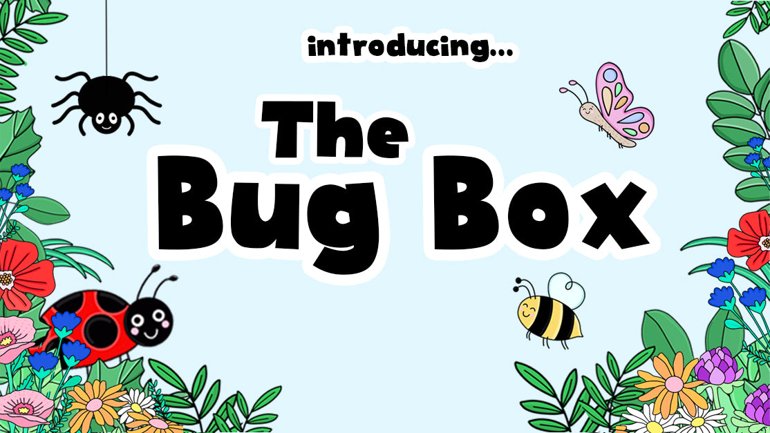 The Bug Box