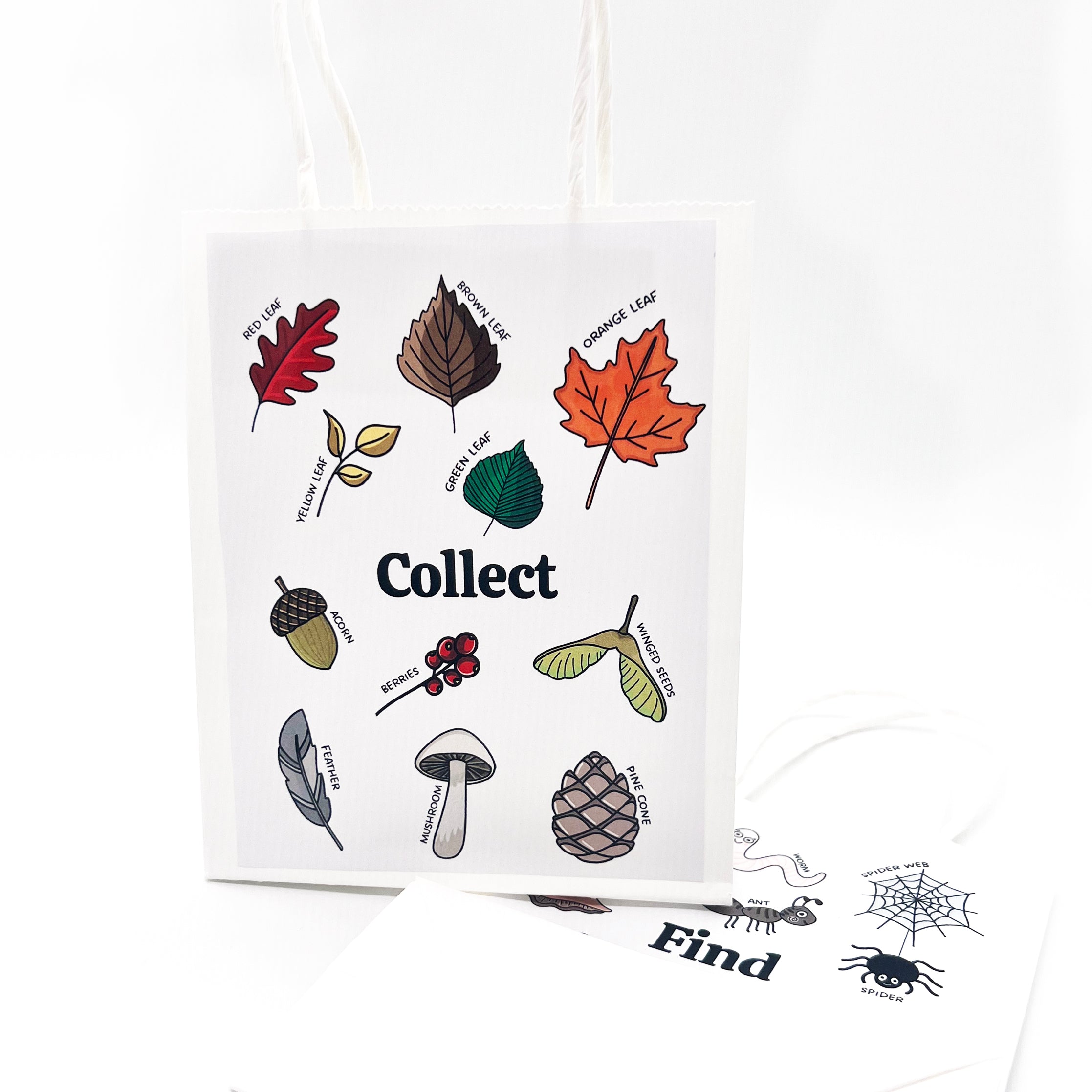 The Forest Friends Box