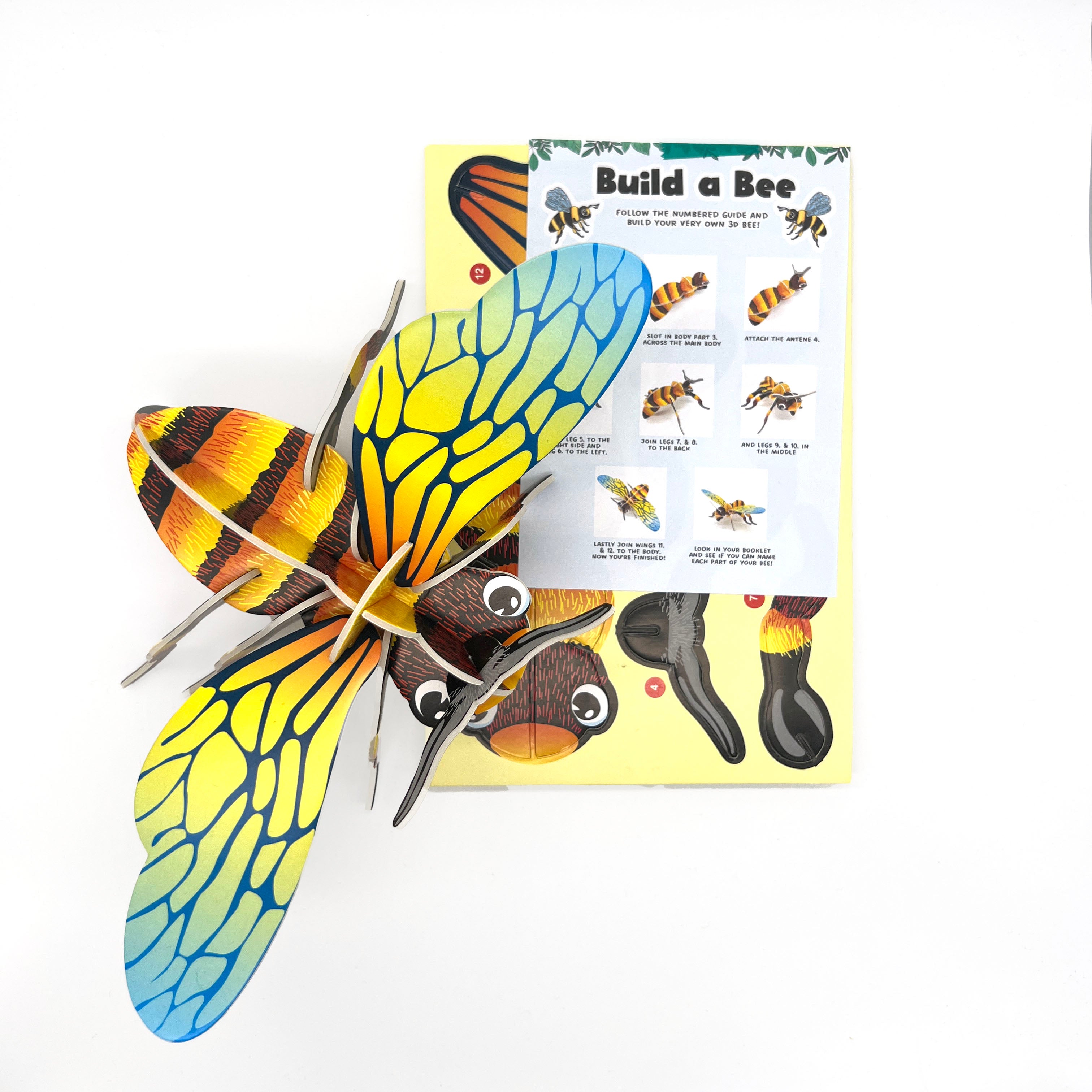 The Bug Craft Box