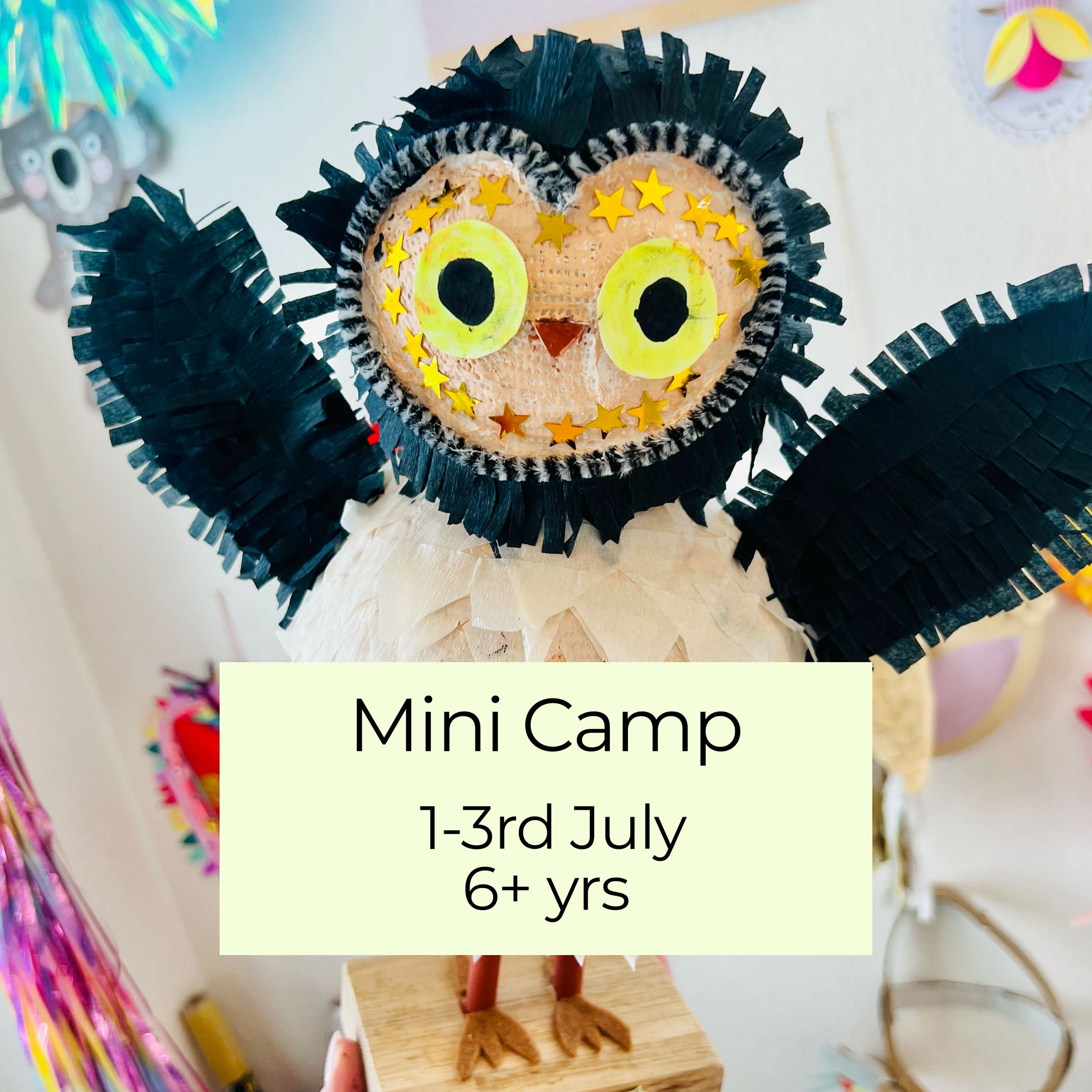 1-3 July- Mini Camp!