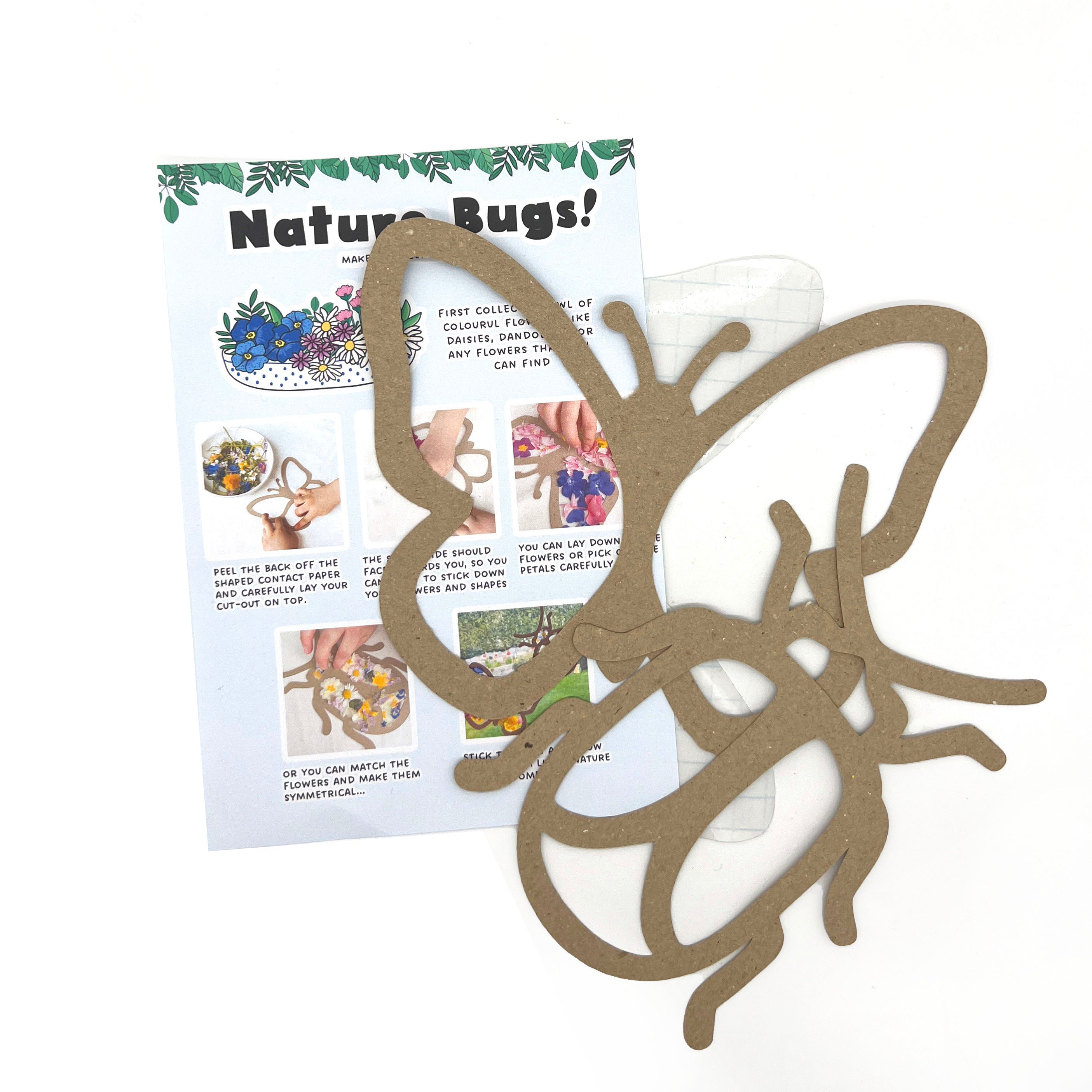 The Bug Craft Box