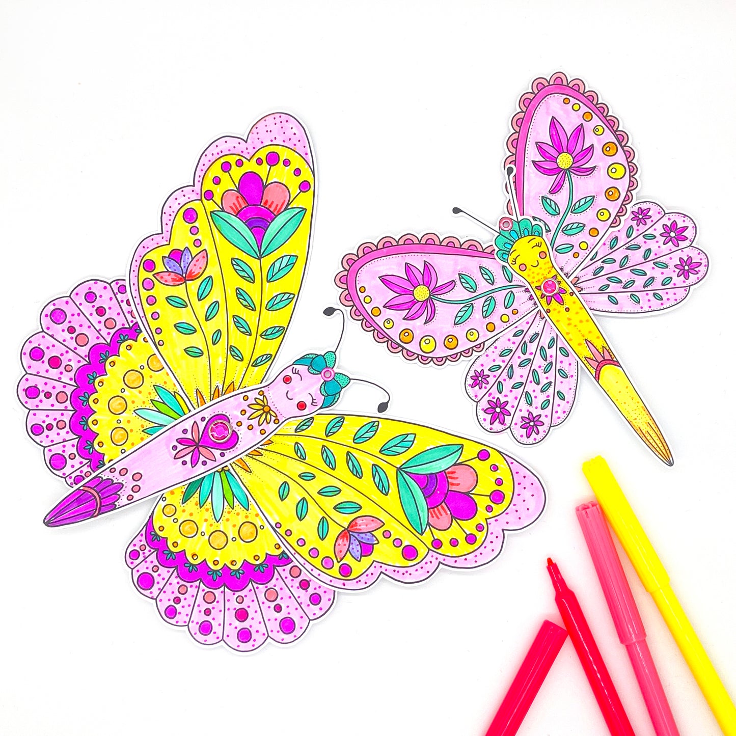 Dragonfly colouring Craft Kit - Loubiblu